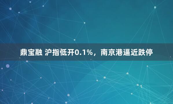 鼎宝融 沪指低开0.1%，南京港逼近跌停