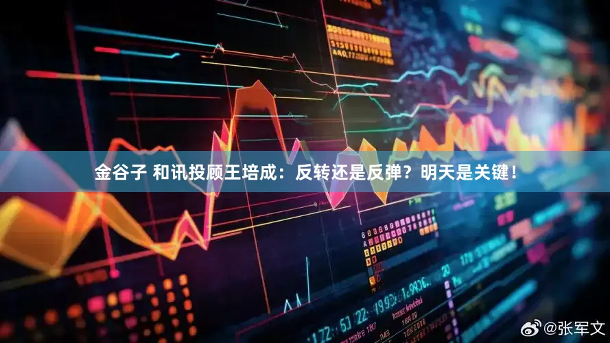 金谷子 和讯投顾王培成：反转还是反弹？明天是关键！