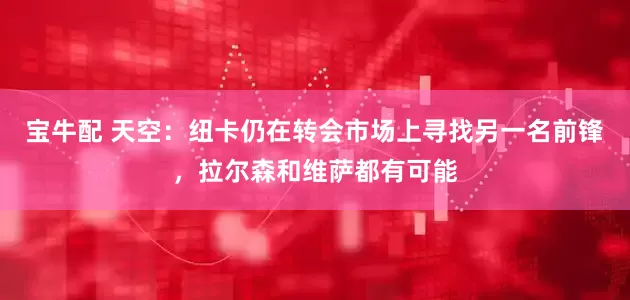 宝牛配 天空：纽卡仍在转会市场上寻找另一名前锋，拉尔森和维萨都有可能