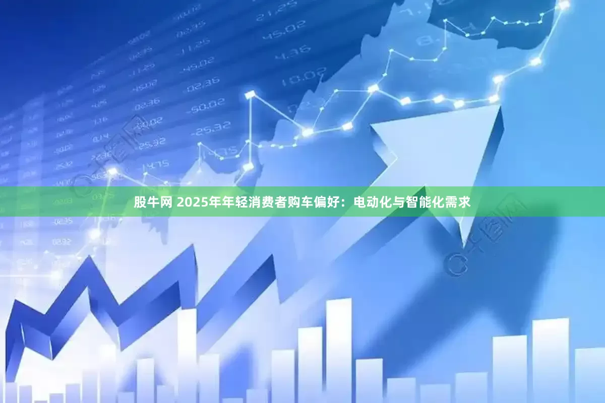 股牛网 2025年年轻消费者购车偏好：电动化与智能化需求